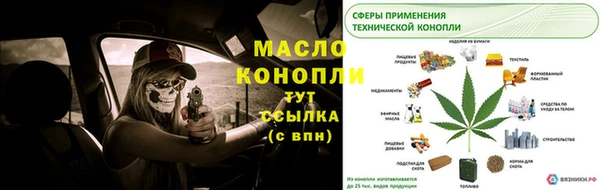 сатива Няндома