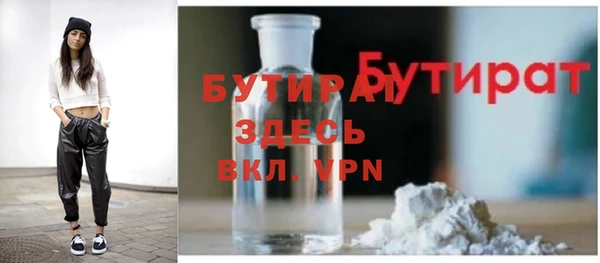сатива Няндома