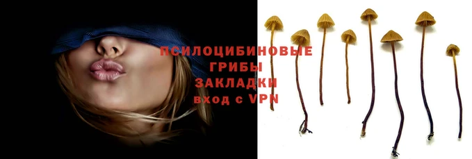 круглые Новозыбков