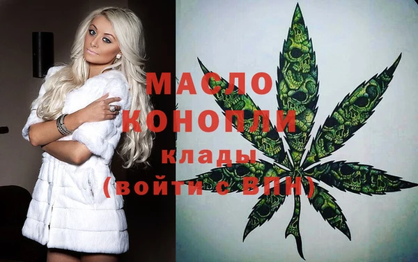 сатива Няндома