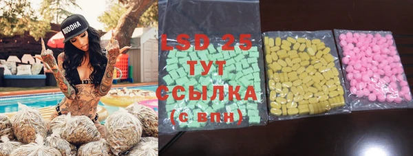 сатива Няндома