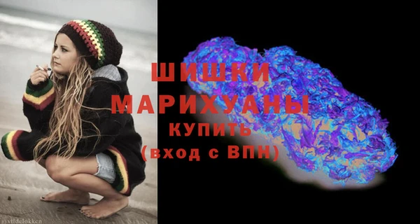 сатива Няндома