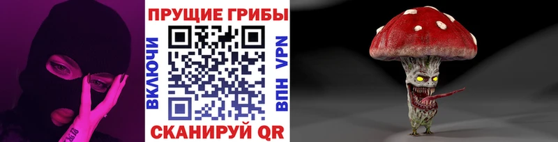 Псилоцибиновые грибы GOLDEN TEACHER Уфа