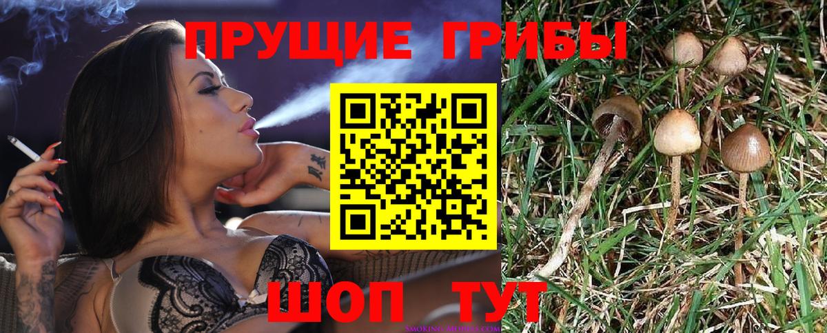Галлюциногенные грибы Cubensis Уфа