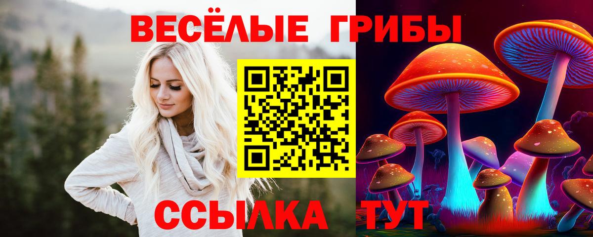 Галлюциногенные грибы мухоморы  Вход с VPN  Уфа  Псилоцибиновые грибы мицелий 